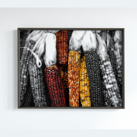 Indian Corns Black/Colors